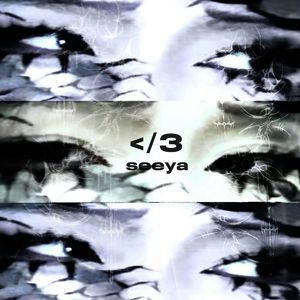 久久伊人中文无码
