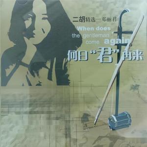 久久伊人中文无码
